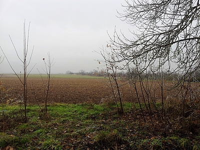 Areal südlich des Ober-Olmer Waldes