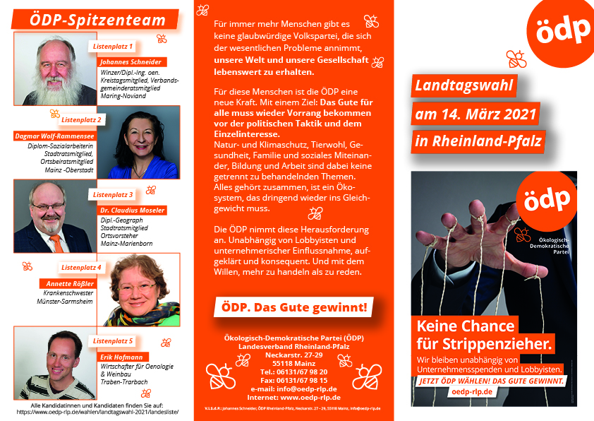 Kandidaten-Flyer